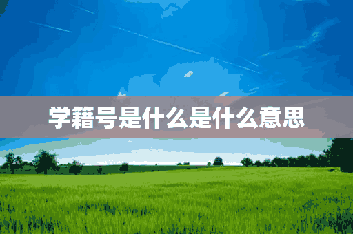 学籍号是什么是什么意思